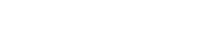 Partner 7